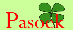 Thais restaurant Pasoek